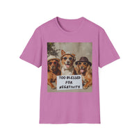 Dogs with Sunglasses and Hats, 'Too blessed for negativity'